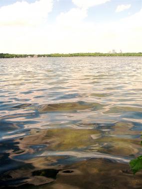 Lake Harriet brown