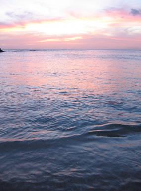 Waikiki sunset