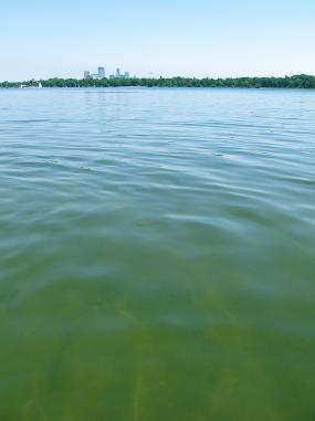 Lake Calhoun green